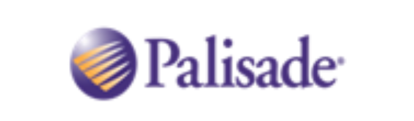 PALISADE SYSTEMS